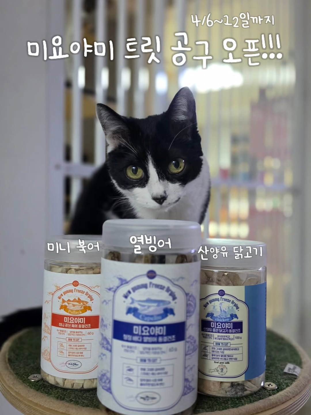 Photo by 22똥괭이네 일상🐾 on April 06, 2026. May be an image of petfood and text.