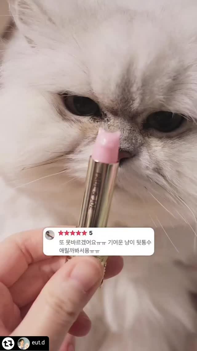 _mieumi 게시물 이미지: 좋아요와 공유만 하면 기부되는 이벤트가 있길래 공유합니다🥰
해당 제품에 관심 있으신...
