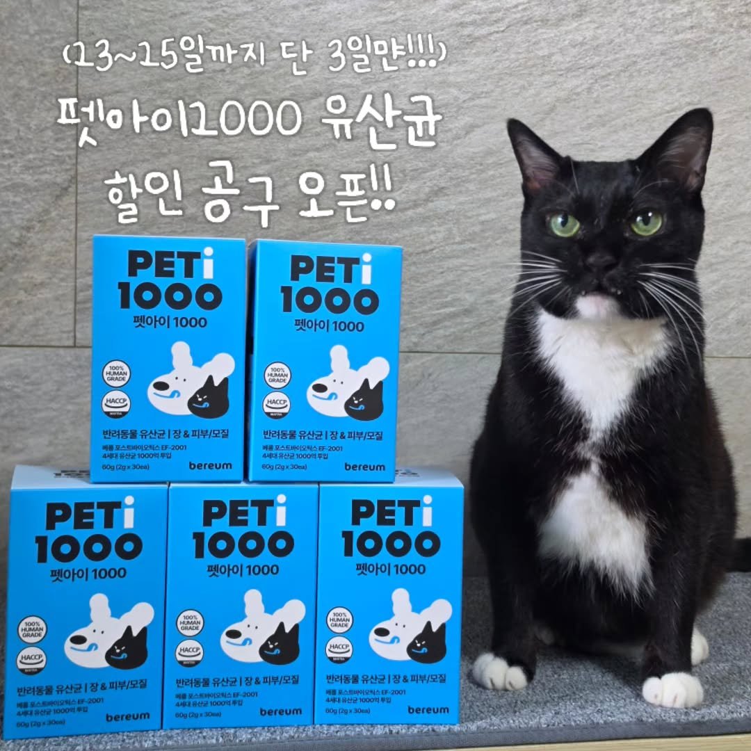 _mieumi 게시물 이미지: #공구오픈
안녕하세요 집사님들!! 드디어 오픈합니닷
(13~15일까지, 프로필 혹은...