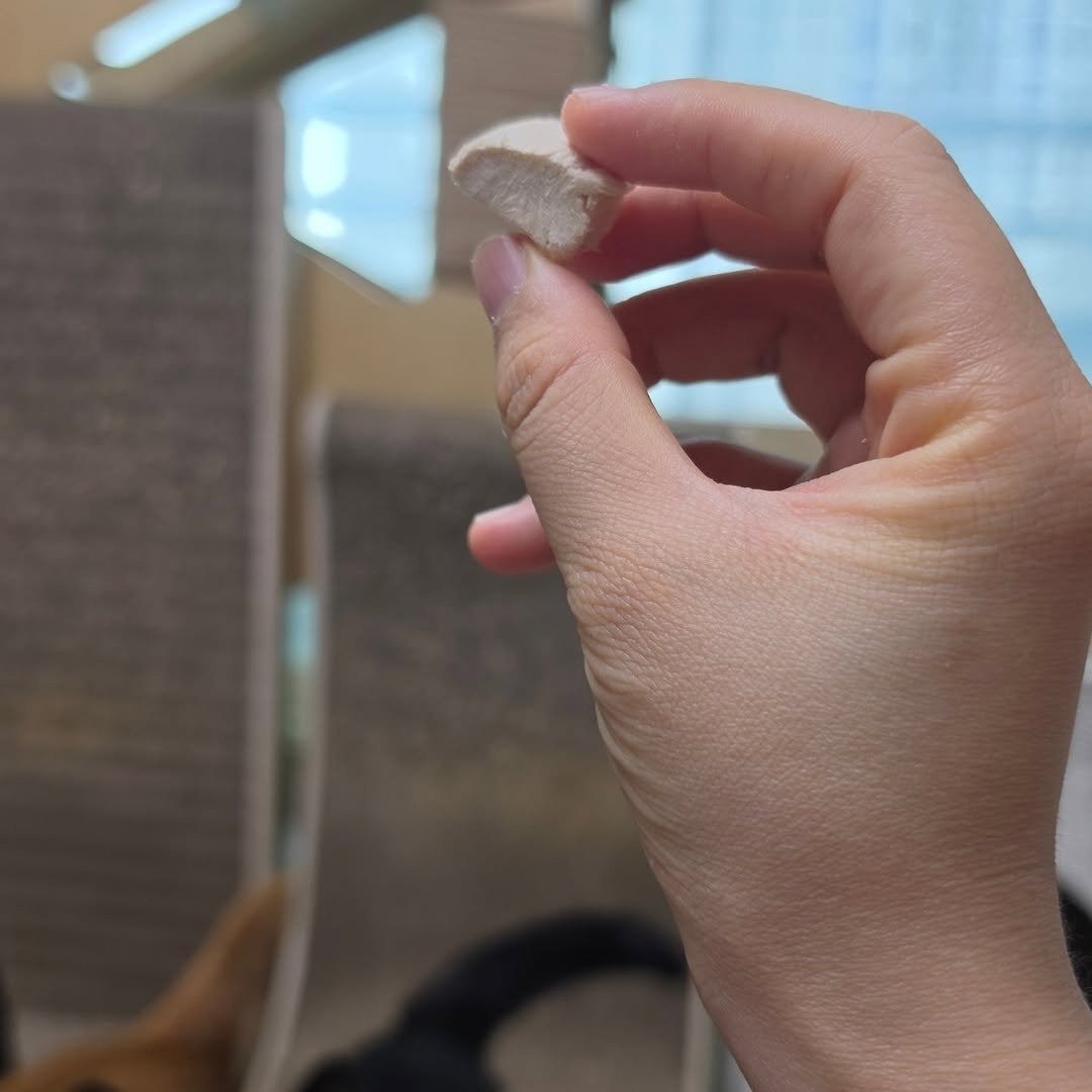 Photo by 22똥괭이네 일상🐾 on April 06, 2026. May be an image of Norwich terrier, bone, dental floss, petfood and text.