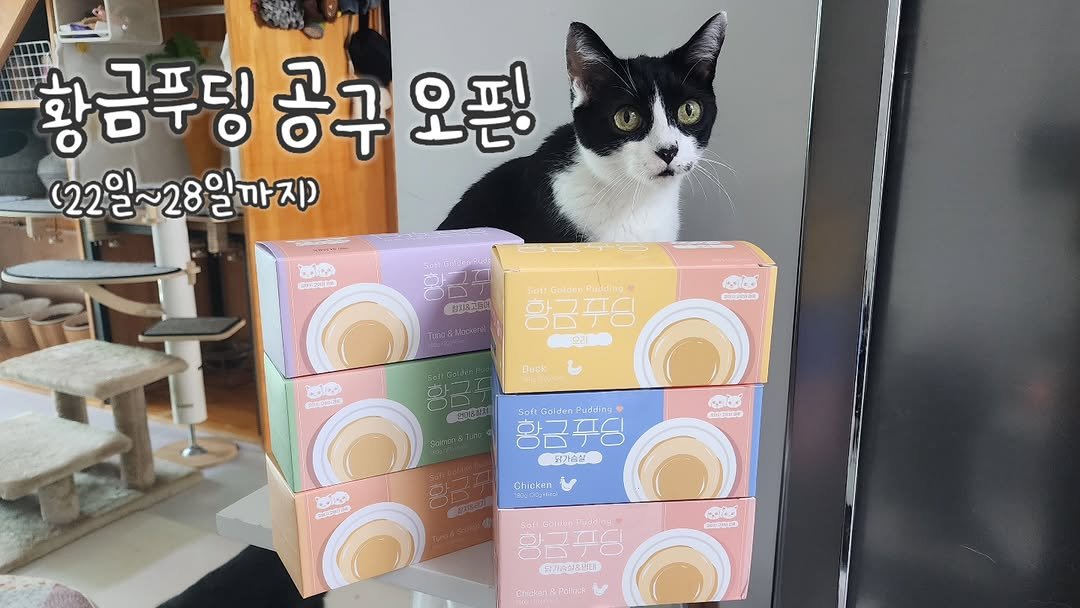 Photo shared by 22똥괭이네 일상🐾 on September 21, 2025 tagging @jipsadiary_official. May be an image of pet, petfood and text.