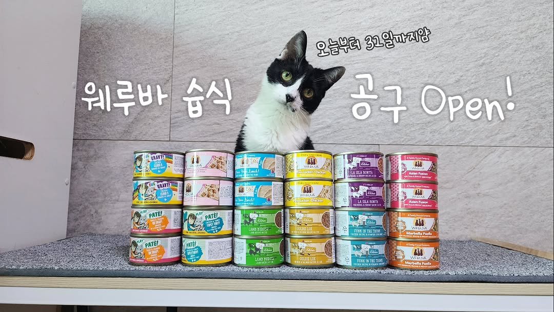 Photo by 22똥괭이네 일상🐾 on October 23, 2025. May be an image of kitten, petfood and text.