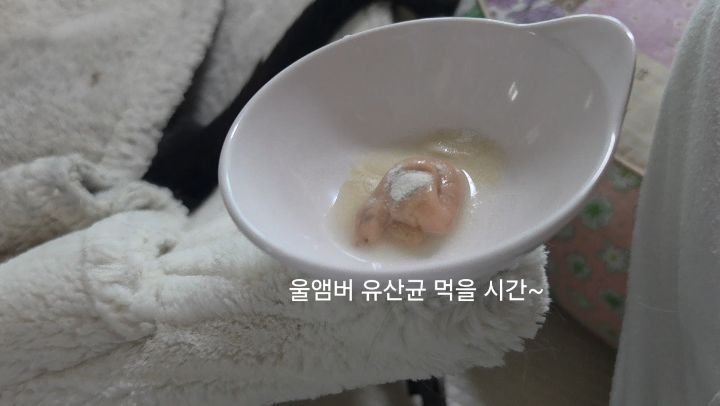_mieumi 게시물 이미지: #공구예고 내일 펫아이1000 유산균 공구 오픈 전에...!
전에 릴스로도 앰버에게...