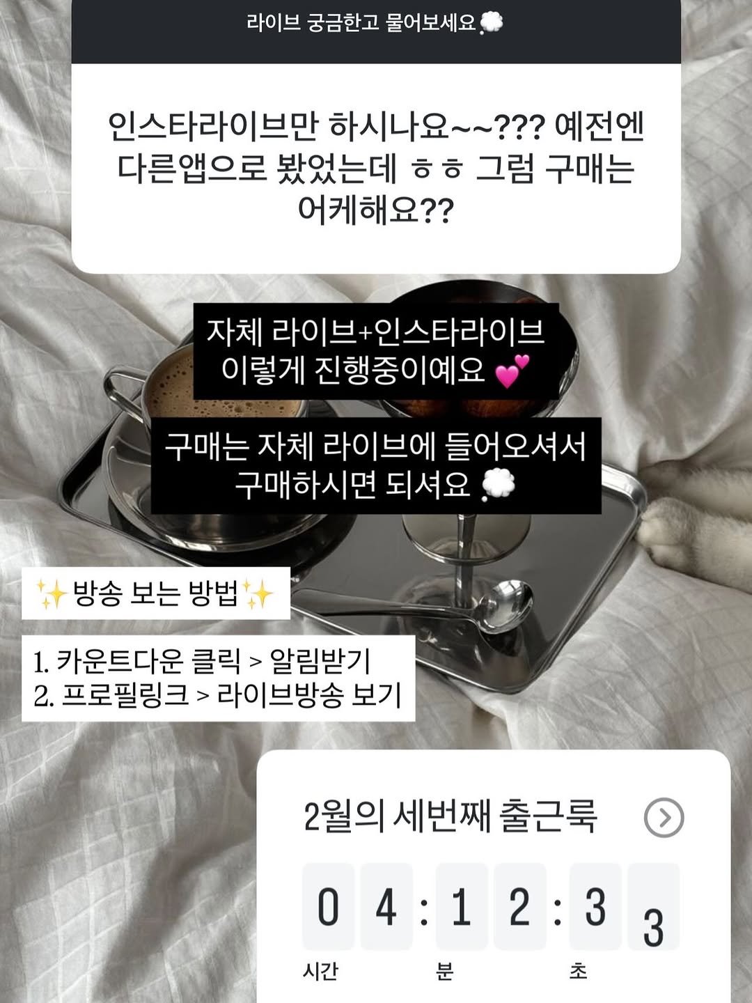 Photo by 무드혜 | 직장인룩 출근룩 데일리룩 on February 14, 2026. May be an image of pie and text that says '라이브 궁금한고 물어보세요 인스타라이브만 하시나요~~??? 예전엔 다른앱으로 봤었는데 ㅎ ㅎㅎ 그럼 구매는 어케해요?? 자체 라이브+ 이브+인스타라이브 이렇게 진행중이예요 구매는 자체 라이브에 들어오셔서 구매하시면 되셔요 방송 보는 방법 1. 카운트다운 클릭 > 알림받기 2. 프로필링크> > 라이브방송 보기 2월의 세번째 출근룩 04:12:3 3 O 04:1 2:3 3 시간 분 초'.