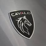 skuter_uzbekistan 프로필 사진