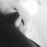 sshow.diary 프로필 사진