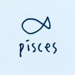 pisces.record 프로필 사진