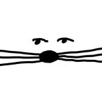 okto_official_ 프로필 사진