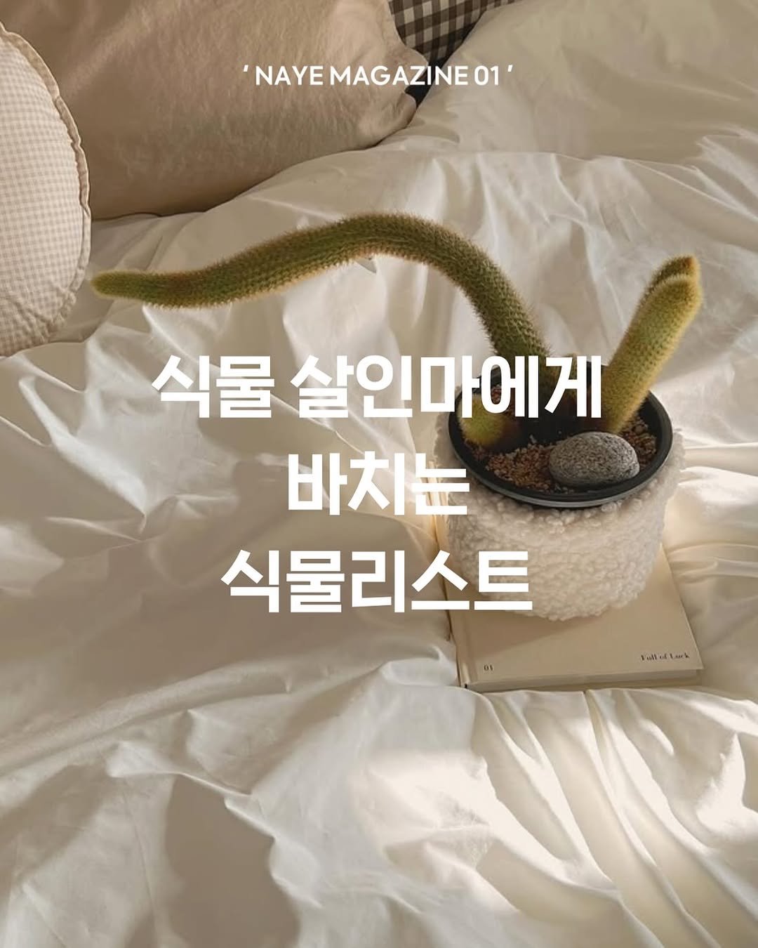 Photo by 우드인테리어 • 홈스타일링 • 집꾸미기 on March 10, 2025.