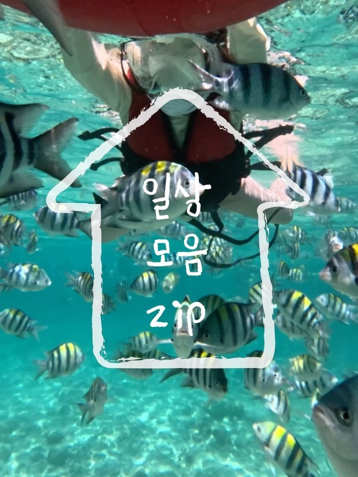 _na__ye_ 게시물 이미지: ✨오랜만에 돌아온 일상모음zip✨
.
이번엔 세부편입니당 캬캬
넘 즐거워서 20장...