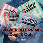 richz_box 프로필 사진