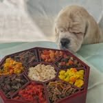 weaningfood 프로필 사진