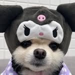 hey._.dubu 프로필 사진