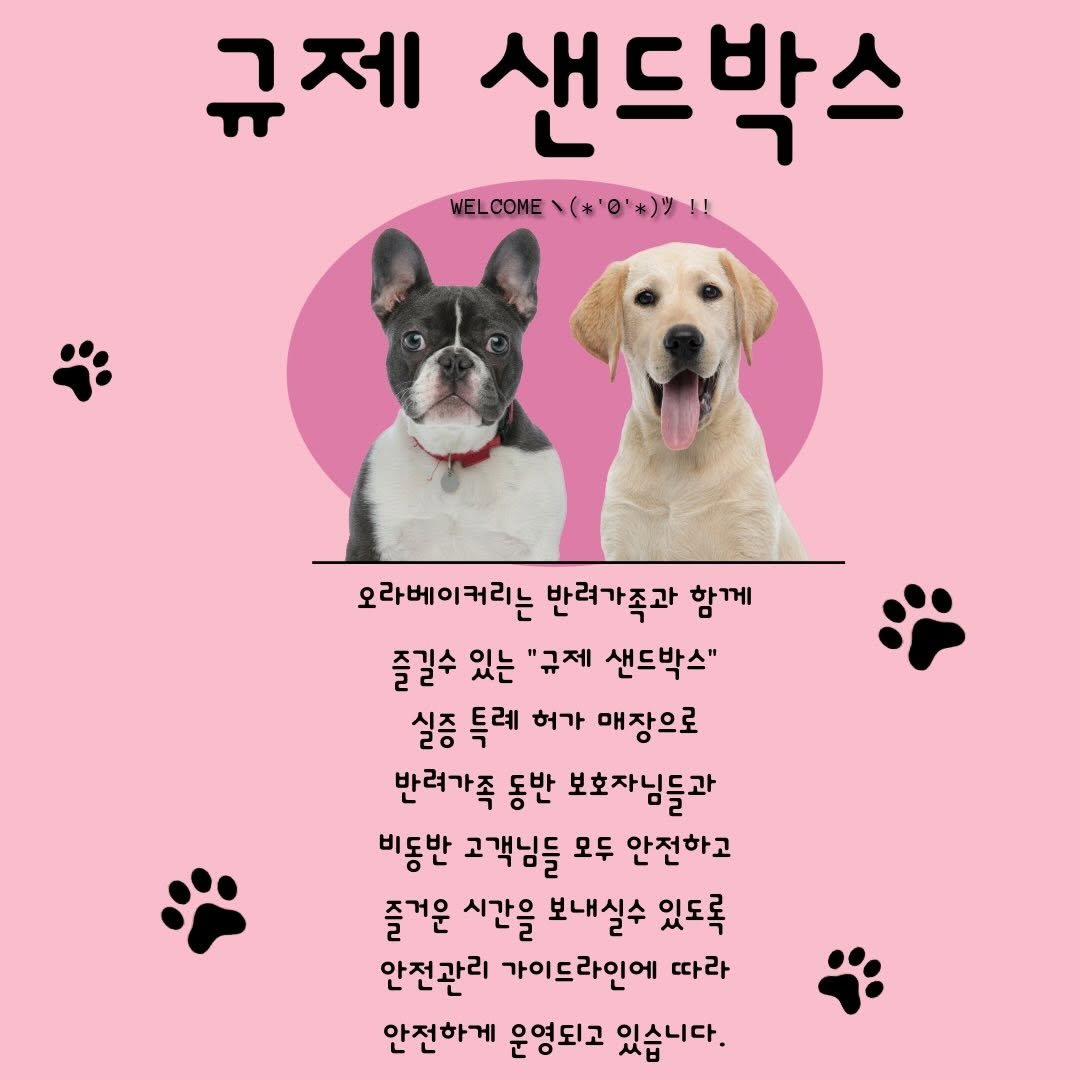 Photo by 오라베이커리⋅송파강아지당일케이크⋅강아지수제간식⋅클래스 on November 27, 2025. May be an image of dog, pie and text that says '규제 샌드박스 WEL WELCOE(*〇）ツ！！ COME （*0*）ツ！！ 오라베이커리는 반러가족과 함께 즐길수 있는 "규제 샌드박스" 실증 특레 허가 매장으로 반려가족 동반 보호자님들과 비동반 고객님들 모두 안전하고 즐거운 시간을 보내실수 있도록 안전관리 가이드라인에 따라 안전하게 운영되고 있습니다.'.