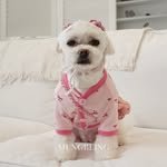 mungbling_official 프로필 사진