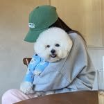 __okso 프로필 사진