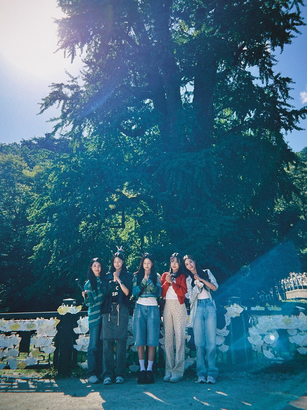 Photo shared by 오하영 Oh Hayoung on November 07, 2025 tagging @_ohhayoung_, @sarangdungy, @mulgokizary, @artist_eunji, and @__yoonbomi__. May be an image of standing, tree and text.