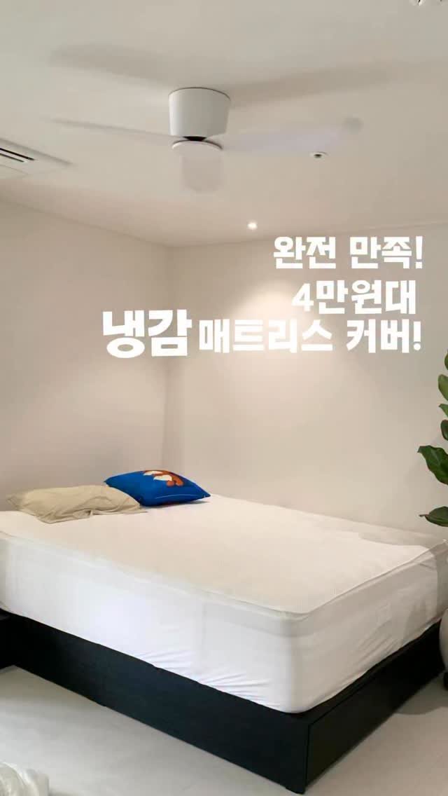_oo_home 게시물 이미지: (내돈내산)갓성비 냉감 매트리스 커버!

저 냉감 패드 비싼것 부터 저렴한거 다...