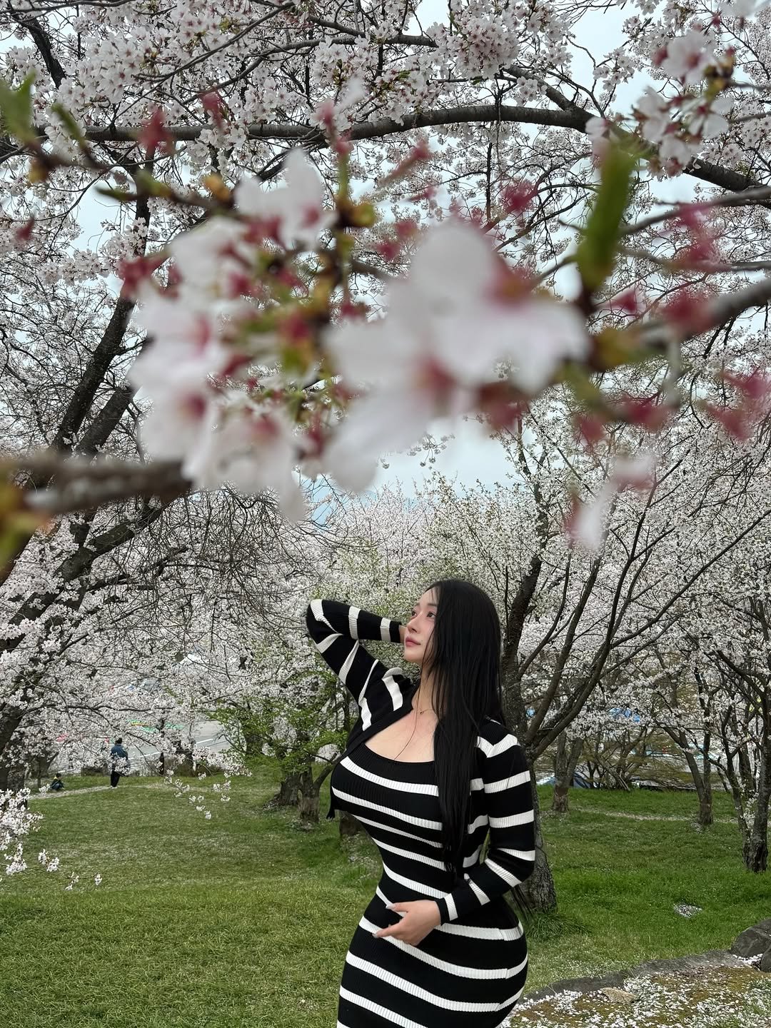 _peachme_ 게시물 이미지: 🌸