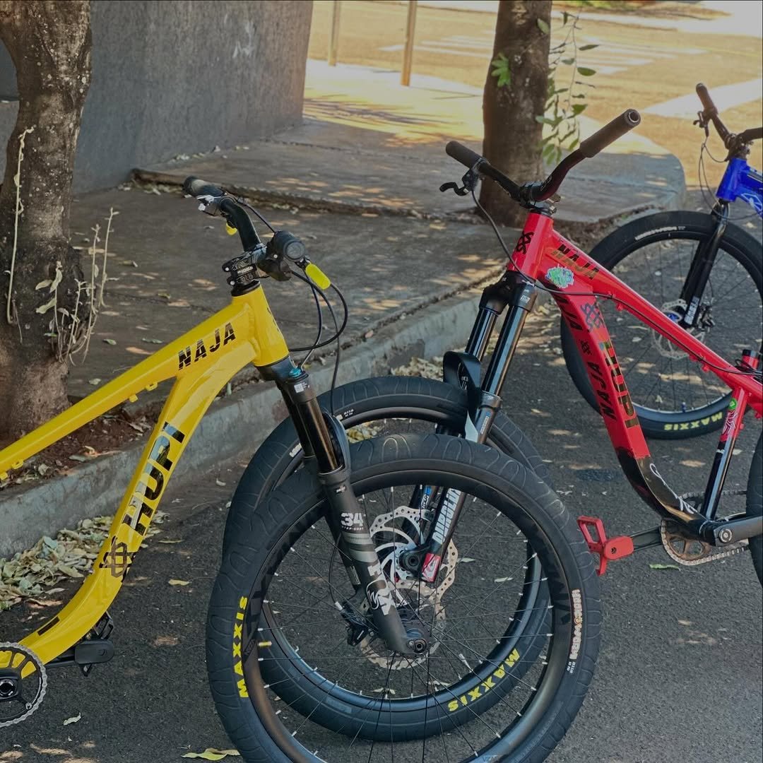 Photo by Pedro Araujo on December 26, 2025. May be an image of bicycle and text.