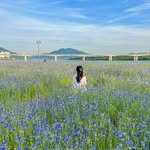 a.0_daily 프로필 사진