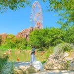 healynae 프로필 사진