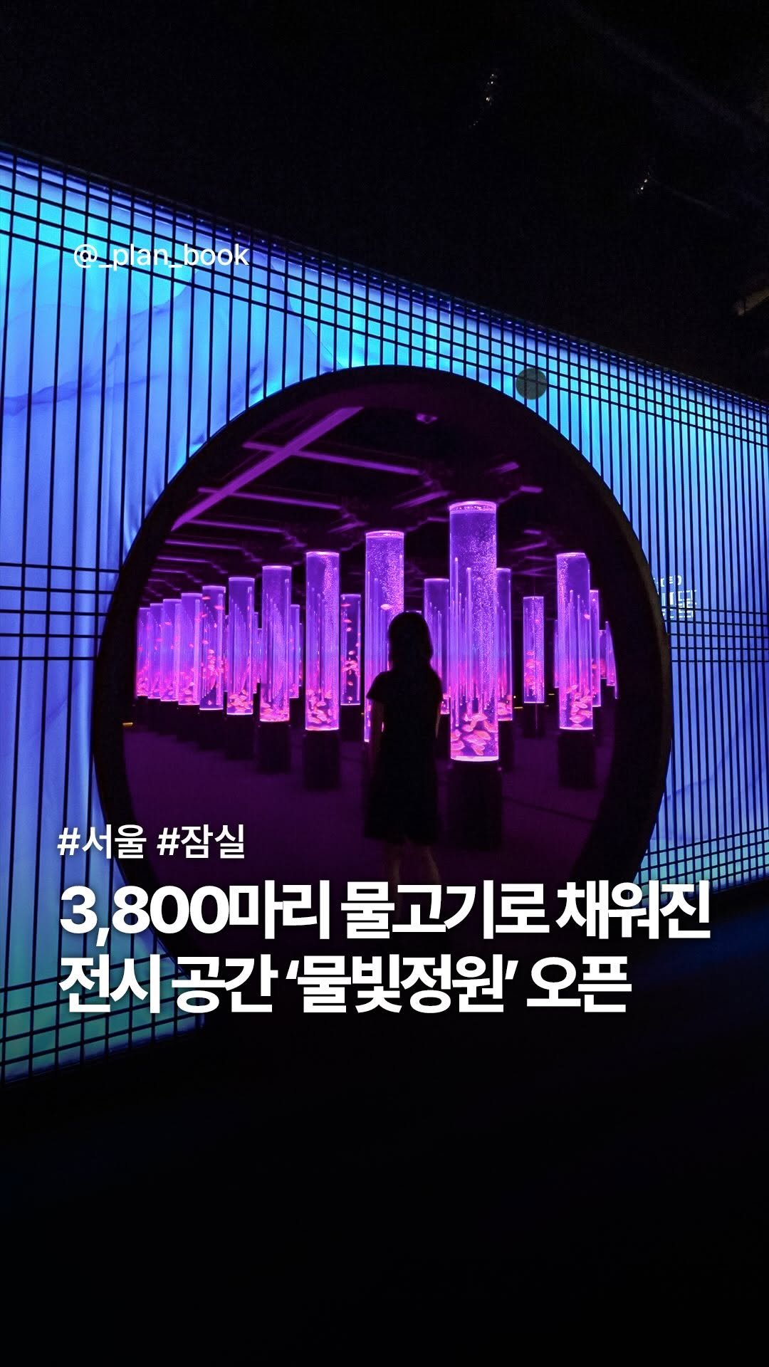 _plan_book 게시물 이미지: 국내 최초 3,800마리의 물고기가 있는 아쿠아갤러리 오픈 🐟✨

-

한국 고유의...