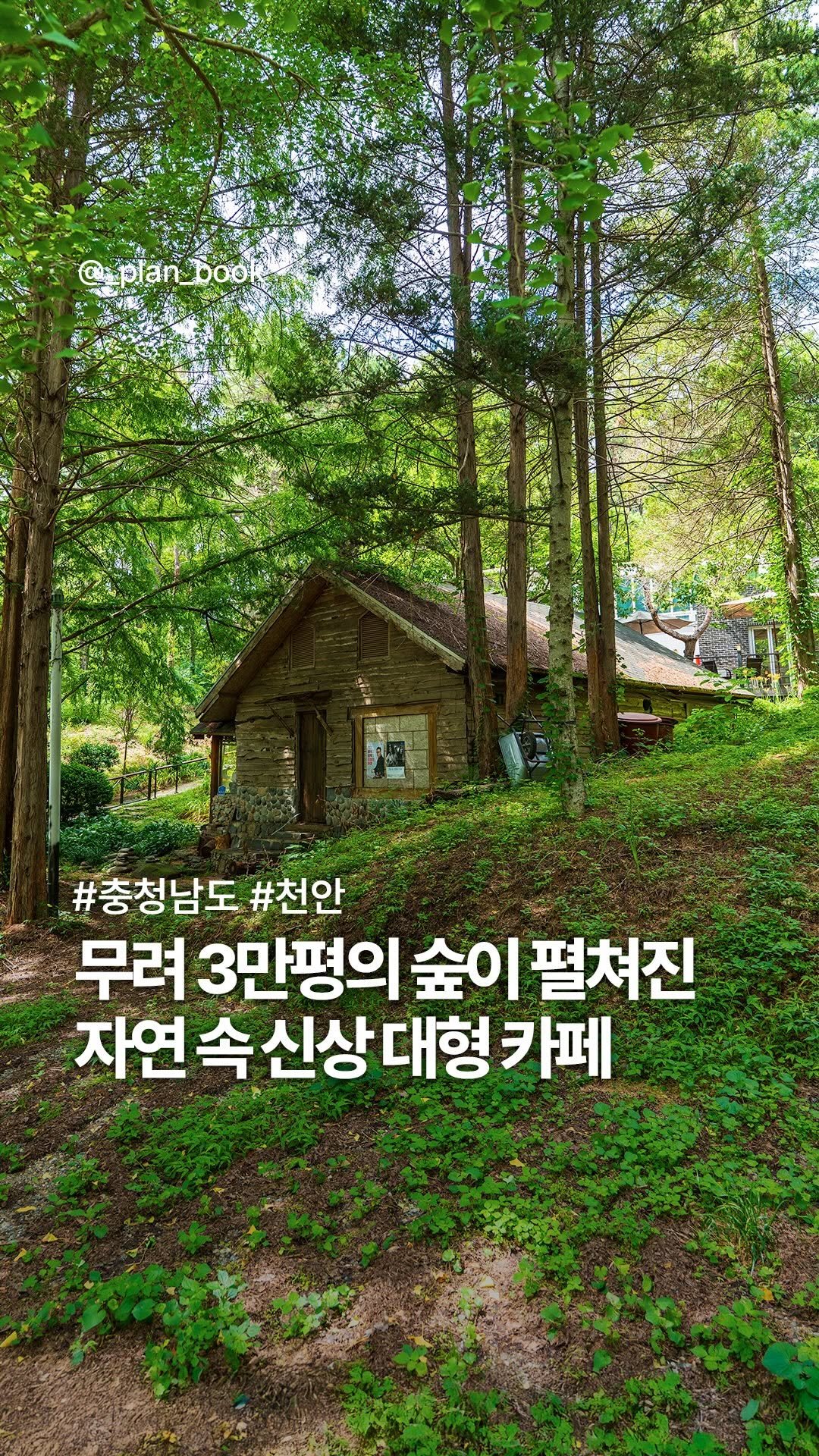 _plan_book 게시물 이미지: 무려 3만평의 정원을 품은 자연 속 대형 카페 🌳

- 

카페라고는 믿기지 않을...
