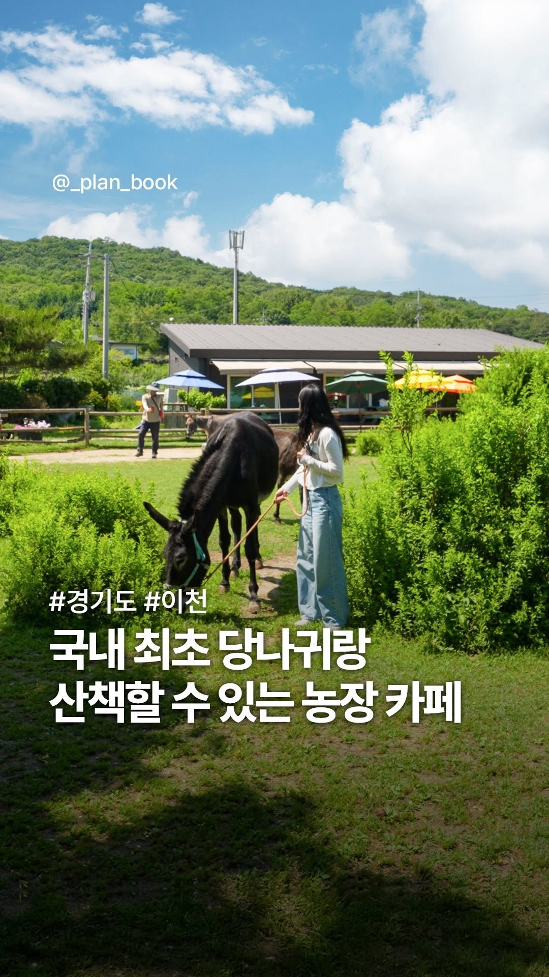 _plan_book 게시물 이미지: 국내 최초 당나귀랑 산책할 수 있는 이색 카페🫏

-

무려 5,000평 규모의...
