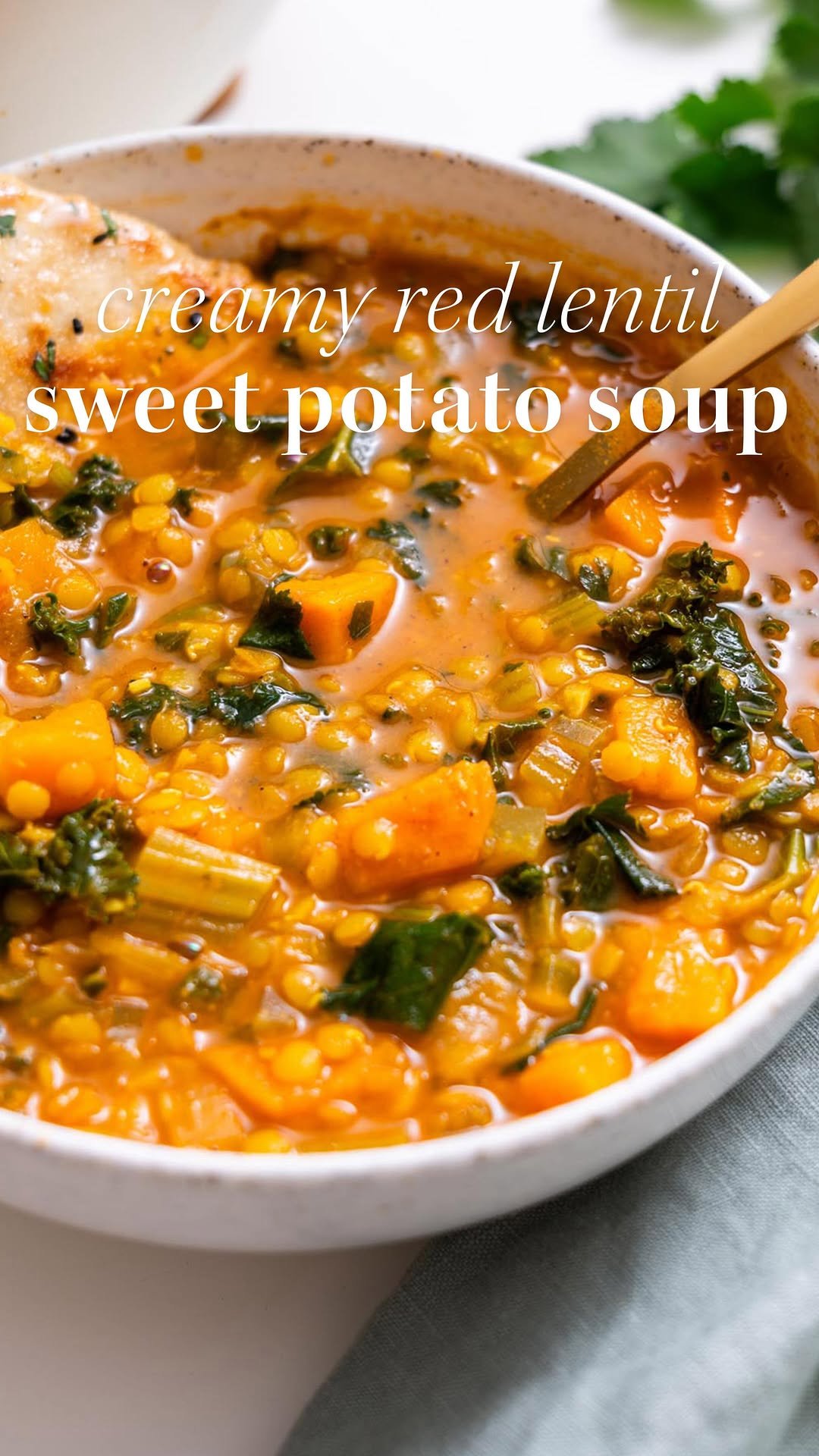 _plantbaes_ 게시물 이미지: Creamy Red Lentil and Sweet Potato Soup

A...