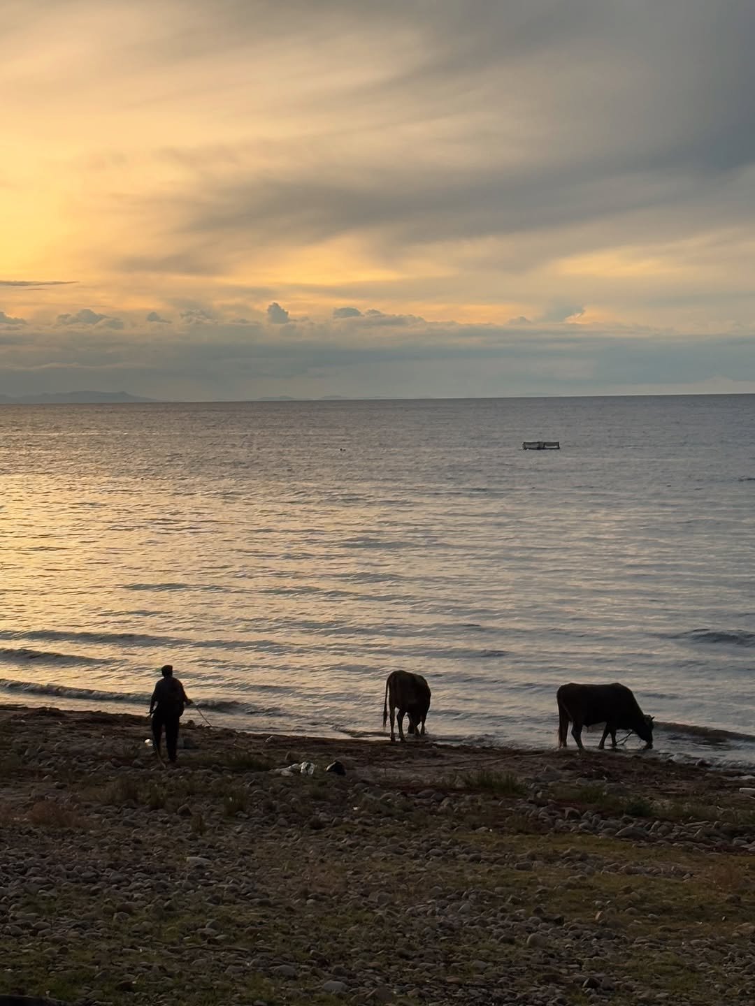 Photo by 박윤호 on August 23, 2025.