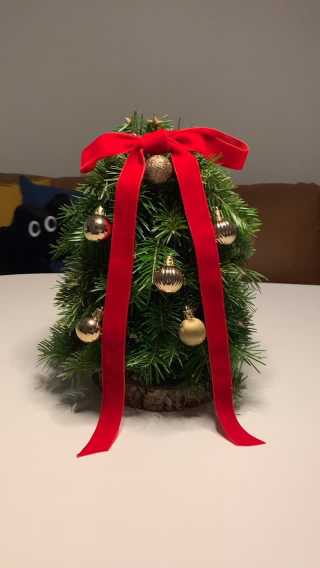 _reviewtalk_ 게시물 이미지: #생화 #christmas #크리스마스