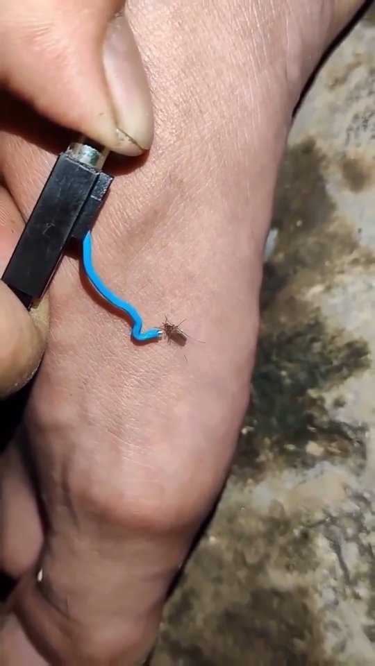 _s_s_u_u_k_k_ 게시물 이미지: 라이터에 들어가는 전기딱딱이