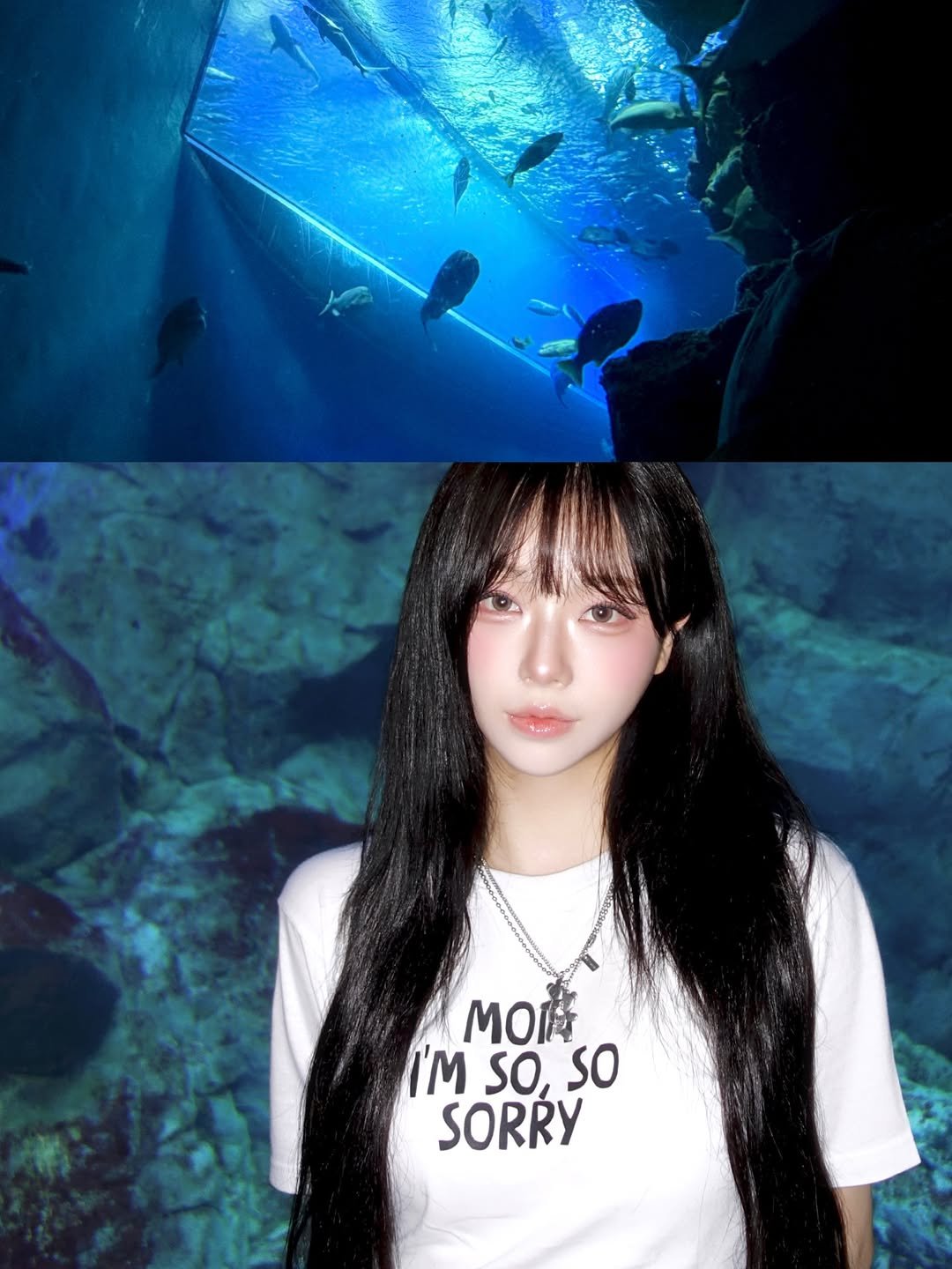 Photo by 임서현 on November 09, 2025. May be an image of aquarium and text that says 'MO膚 I'M sO, sO SORRY'.