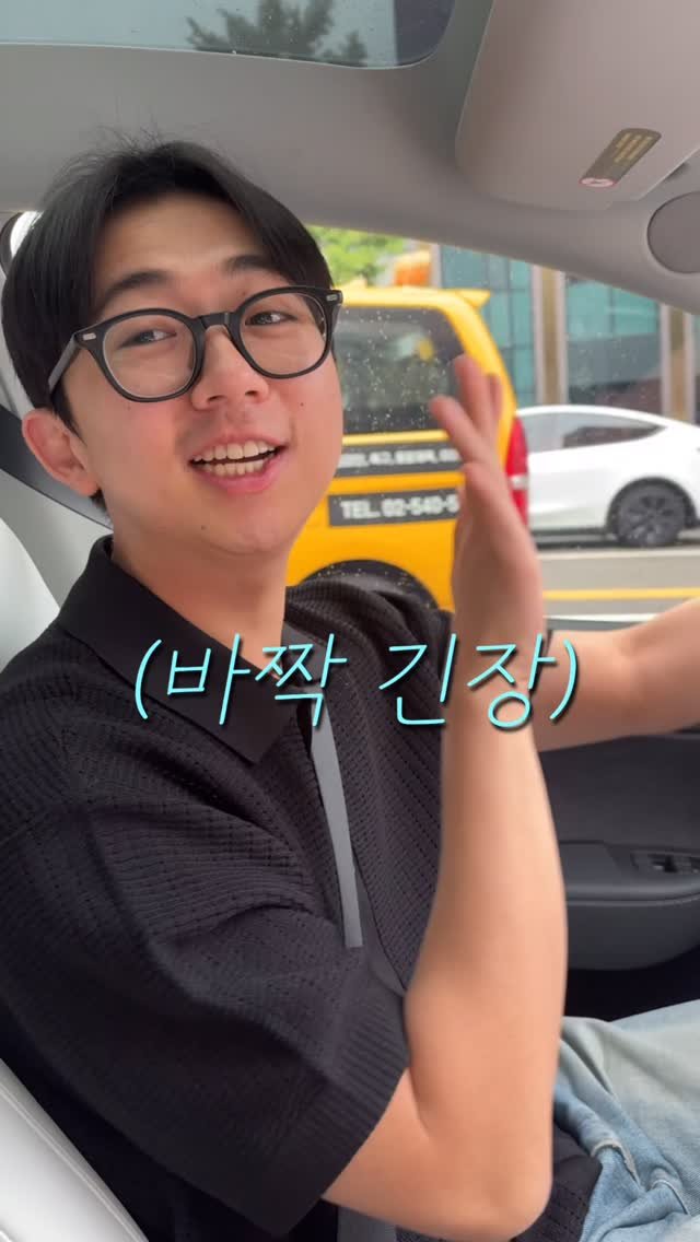 _so_hyuny 게시물 이미지: 강남 도로 위 동물을 조심하세요