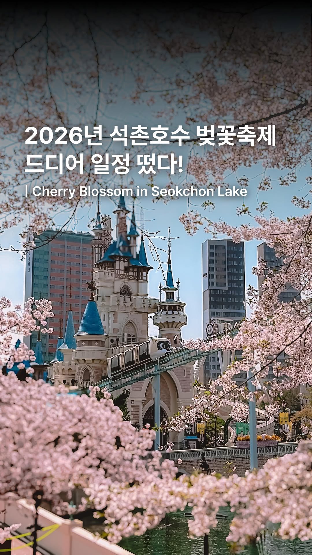 _ssunj___ 게시물 이미지: 2026 석촌호수 벚꽃축제🌸 일정, 포토존 꿀팁 공유✨

@@ 올봄 같이 벚꽃...