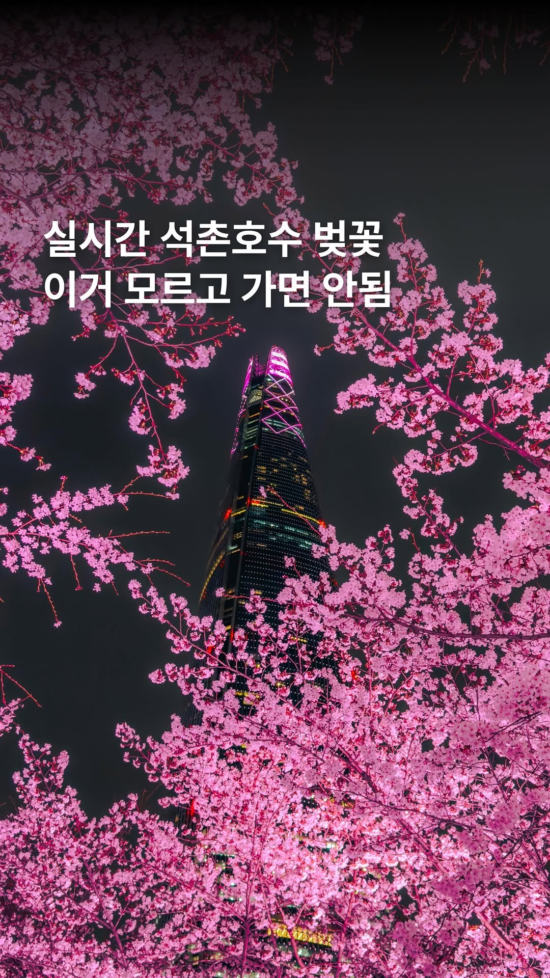 _ssunj___ 게시물 이미지: 3/30 실시간 석촌호수🌸 이거 꼭 알고 가세요‼️

실시간 석촌호수는...