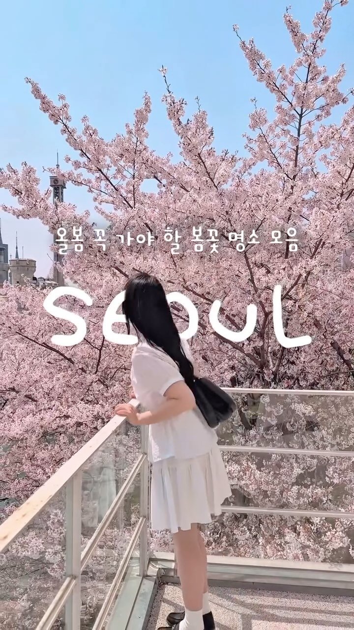 _ssunj___ 게시물 이미지: (지도 공유) 올봄 꼭 가야 할 봄꽃 명소 모음🌸💓
@@ 같이 갈 사람한테 공유...