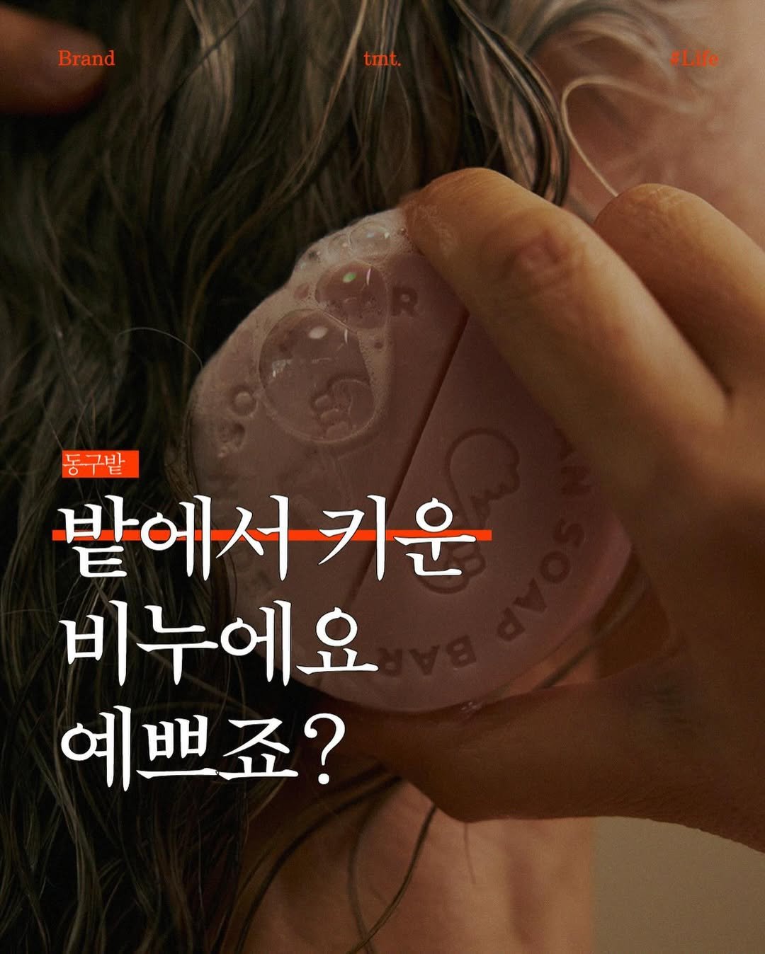 Photo by .tmt on October 15, 2024.