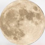 moonnightoday 프로필 사진