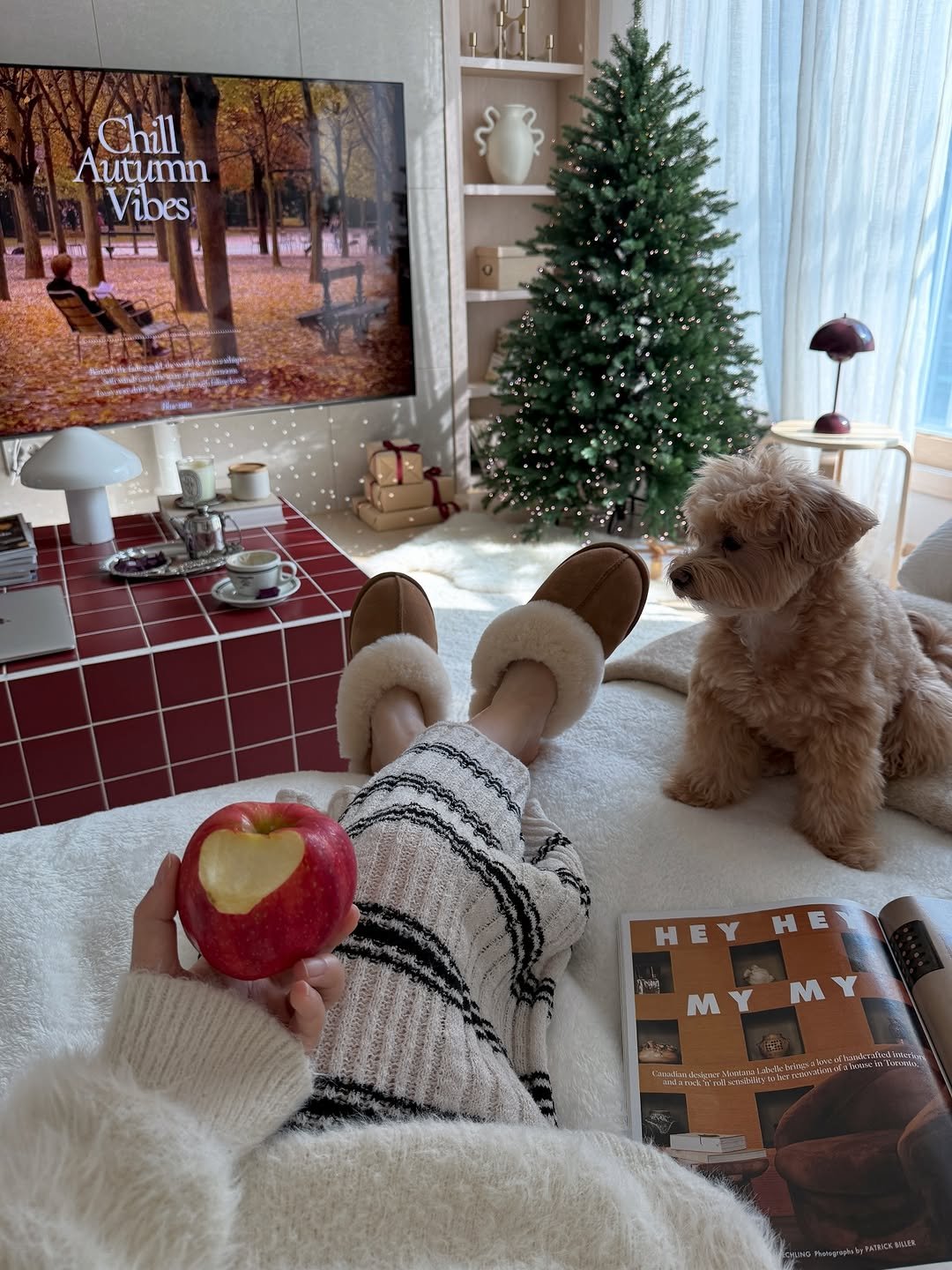 Photo by nini♡ on November 09, 2025. May be an image of apple and text.