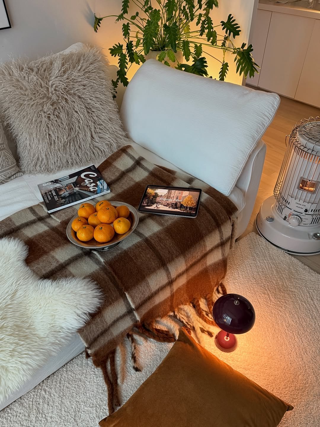 Photo by nini♡ on November 27, 2025. May be an image of sofa, beanbag chair, lamp, futon and text.