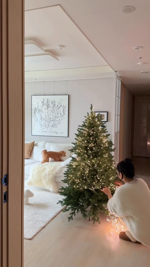 _thisisnini 게시물 이미지: Lighting up the Christmas tree！🌲

티라미수에 말차 한...