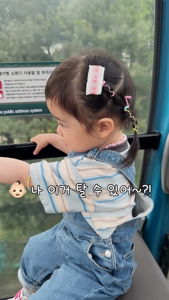 _treasure93 게시물 이미지: 에버랜드에서 타고 싶은 놀이기구가 있다는 4쨜👶🏻🙋🏻‍♀️💜