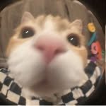 yuyuluvvv__ 프로필 사진