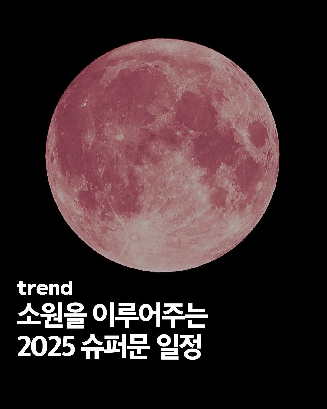 Photo by trend 트렌드 on February 28, 2025.