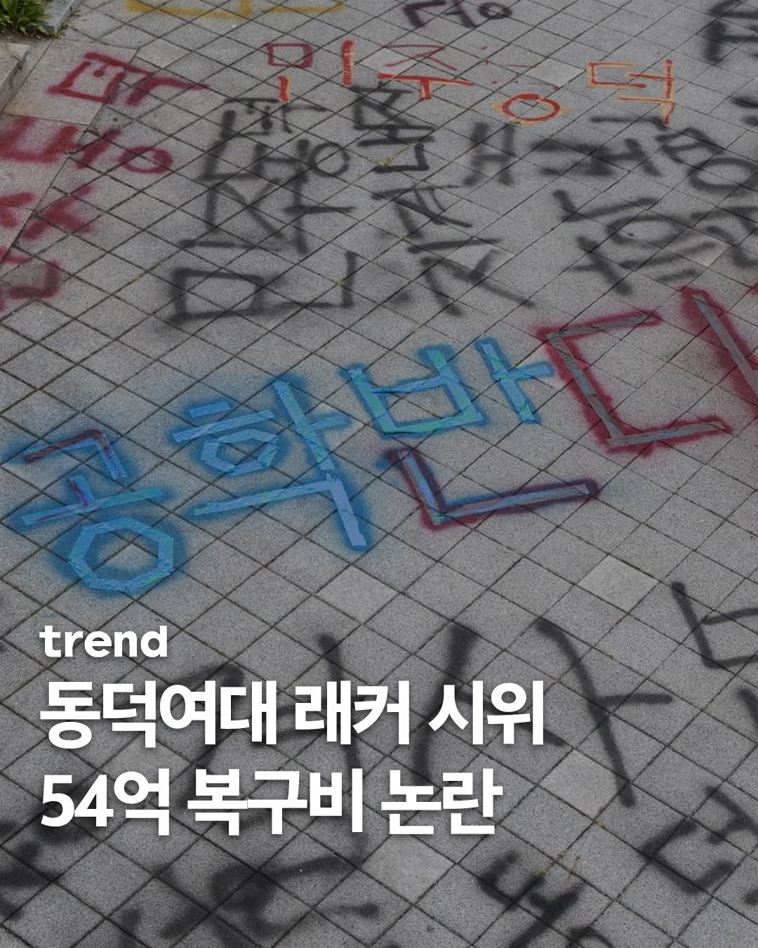 Photo by trend 트렌드 on November 13, 2025. May be an image of text that says 'trend 동덕여대 래커 시위 54억 복구비 논란'.