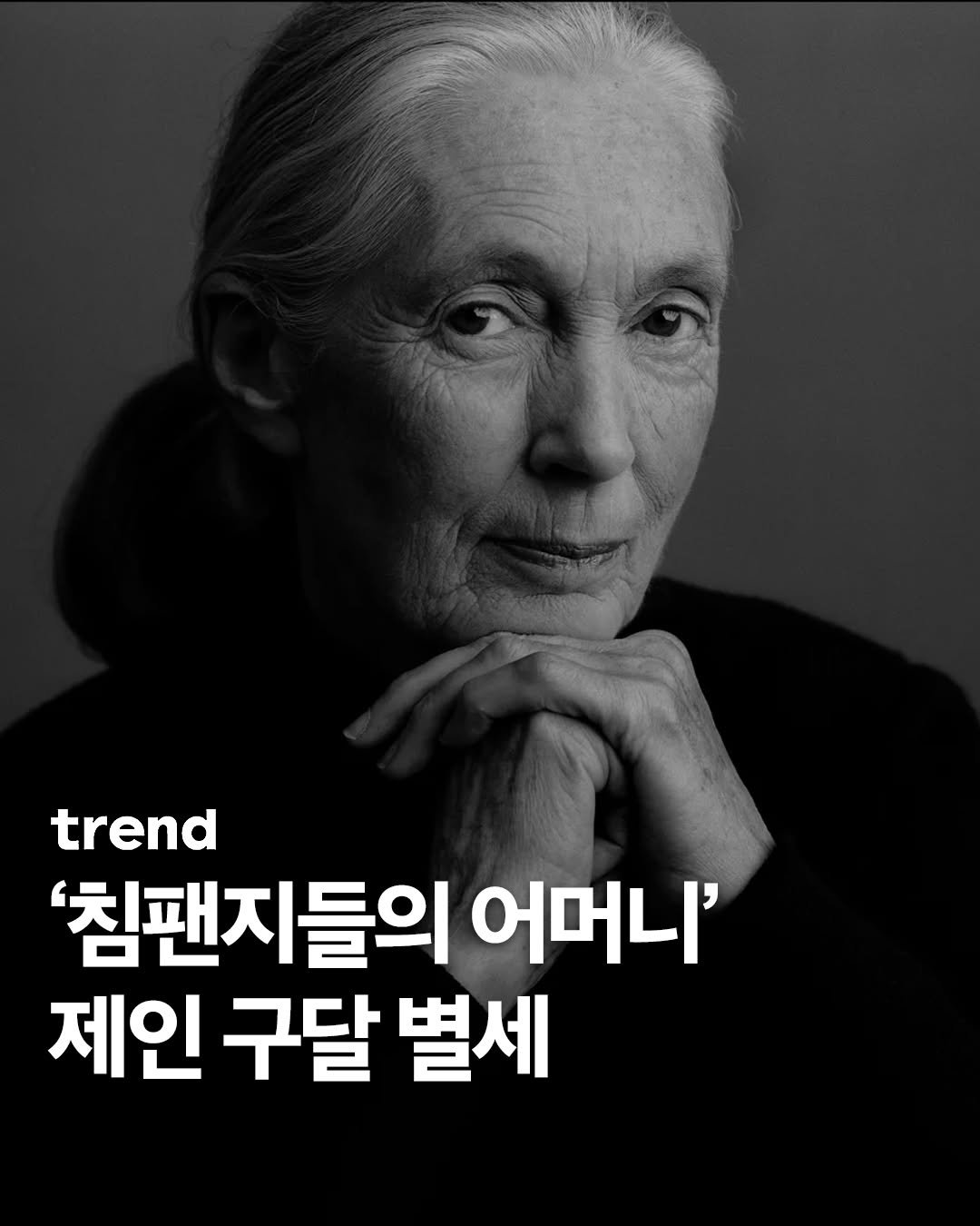 Photo by trend 트렌드 on October 01, 2025. May be an image of 1 person and text that says 'trend '침팬지들의 어머니' 제인 구달 별세'.