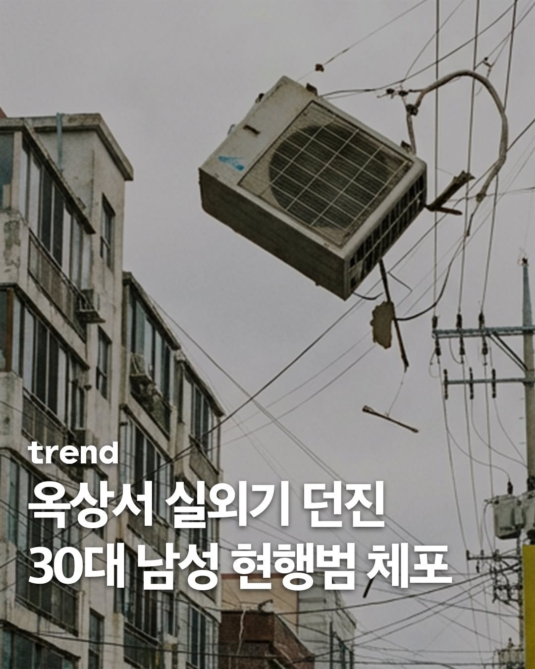 Photo by trend 트렌드 on February 22, 2026. May be an image of text that says 'trend 옥상서 실외기 던진 30대 남성 현행범 체포'.