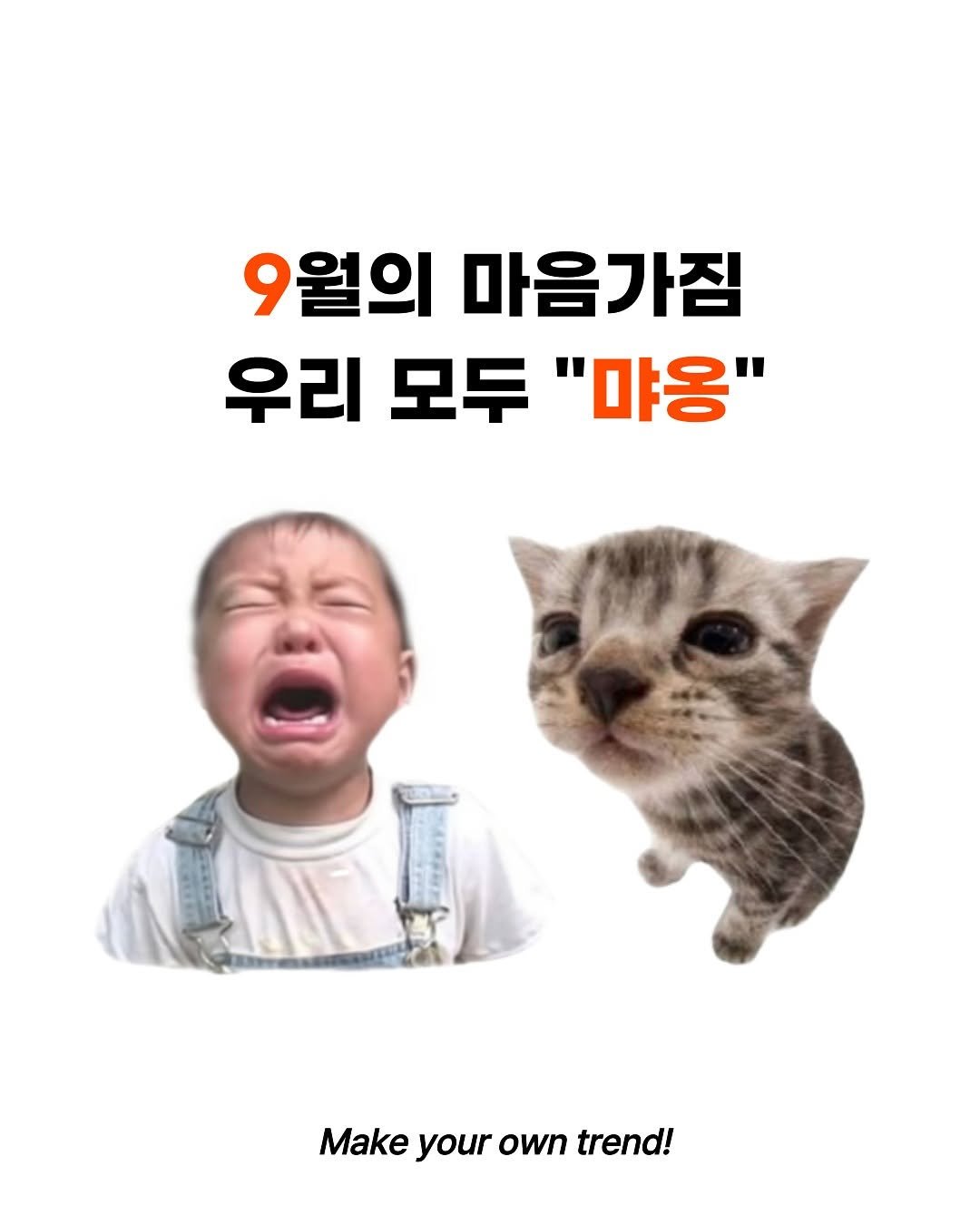 Photo by 트렌드 매거진 on September 01, 2025. May be a meme of 1 person, pie and text that says '9월의 마음가짐 우리 모두 우리모두"야옹" "야용" Make your own trend!'.